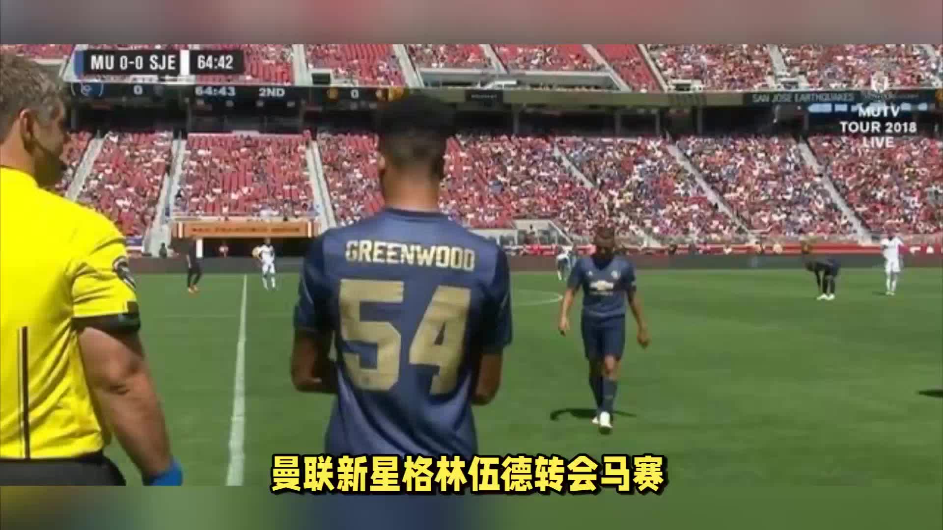 玫瑰花茶冰淇淋粉